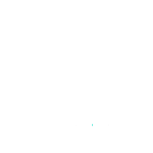 animated icon
